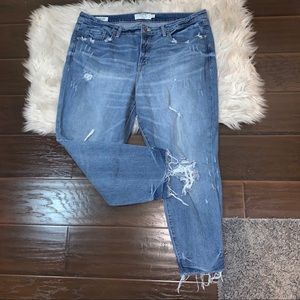 Torrid Distressed High Rise Straight Jeans Plus 20